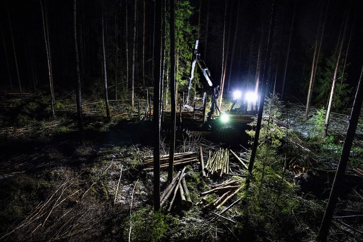 Nordic_Lights_forestry_forwarder_01